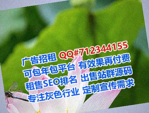 安阳代妈国际贸易事务所